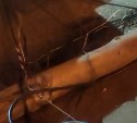 Повезло: столб с проводами упал в считаных сантиметрах от автомобиля в Южно-Сахалинске
