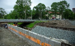 Общество