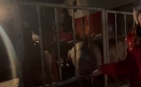 Происшествия