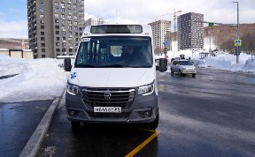 Общество