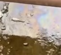 Жители Южно-Сахалинска заметили масляную плёнку в ручье в центре города