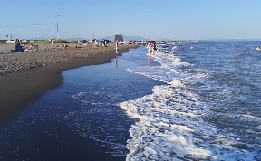 Общество