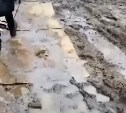 Утопающую в грязи улицу на Камчатке "замостили" картонками