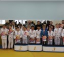 Свыше 150 юных спортсменов стали участниками турнира по дзюдо в Южно-Сахалинске 