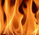 Нежилой дом вспыхнул в ночь на вторник в Краснополье