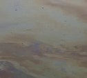 Очевидец снял нефтяные разводы на севере Сахалина, но эксперты нашли только чистое море