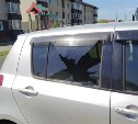 Косил траву - попал в машину: в Тымовском коммунальщик повредил чужой автомобиль