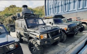 Спорт