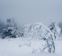 Сильный снег прогнозируют завтра в нескольких районах Сахалина