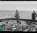 Чёрно-белый Сахалин: рассказ о бригаде рыбаков, в которой работает островитянин с фамилией Продай-Душа