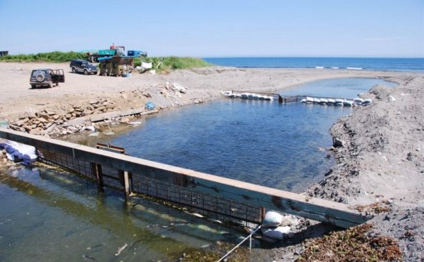 Число РУЗов на реках Сахалинской области достигло двух десятков