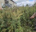 Убийство из-за ревности: житель Долинского района избил знакомого и вонзил ему нож в шею