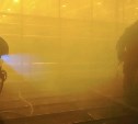 Рассада сгорела в тепличном комплексе в Южно-Сахалинске