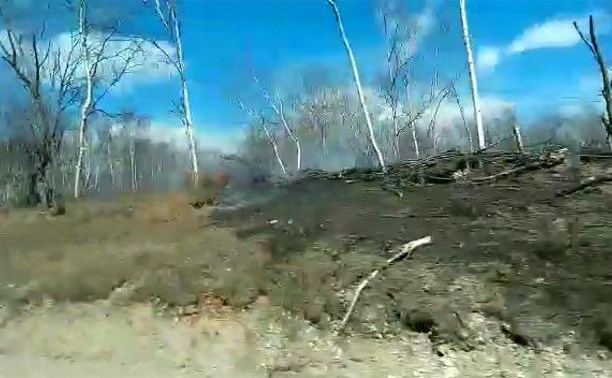 Около 2000 га сухой травы сожгут сотрудники лесоохраны на Сахалине