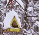 "В выходные похолодает, в конце недели снег": сахалинские синоптики рассказали о погоде 