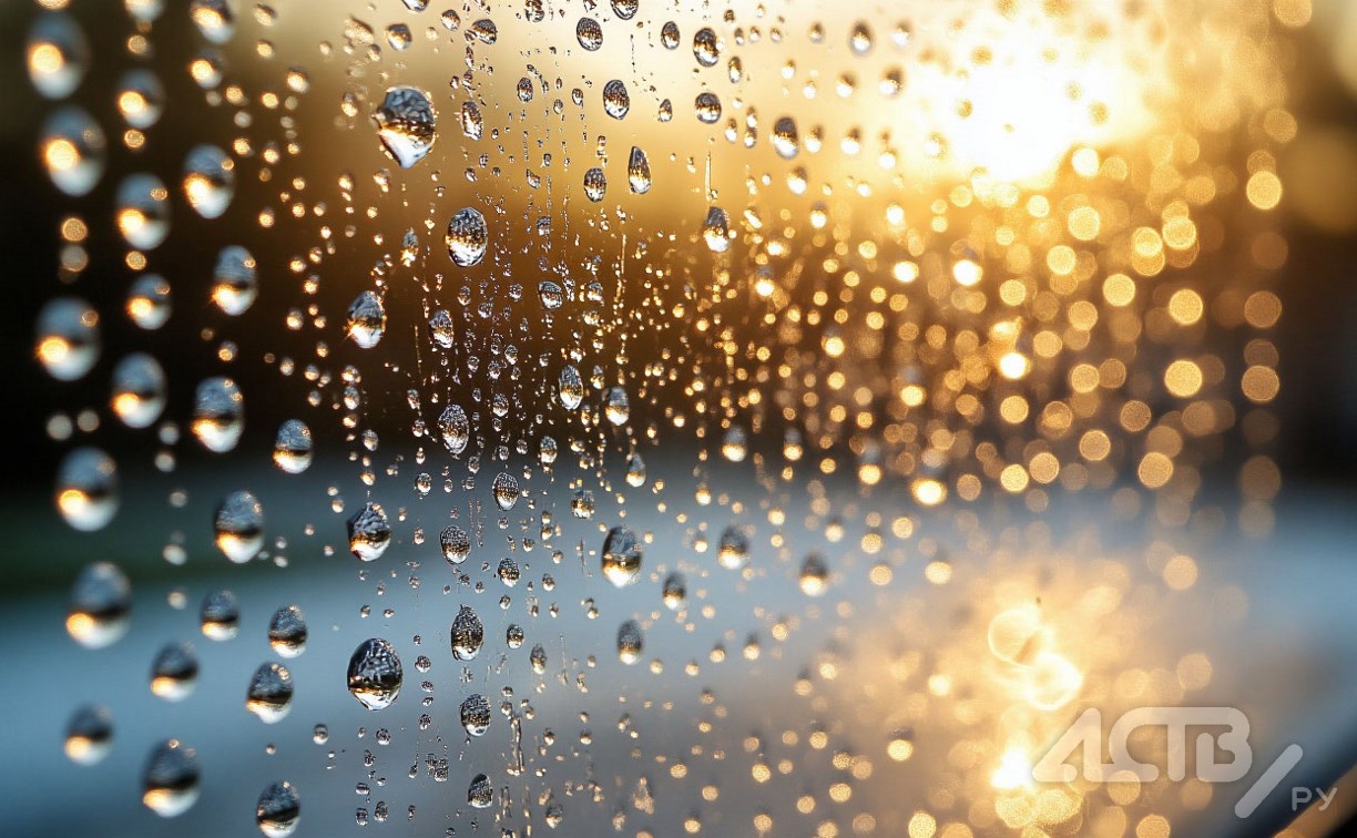 Теплее всего – на Южных Курилах: прогноз погоды для Сахалинской области на 28 ноября