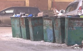 Сахалинские предприятия могут получить штраф за отсутствие договора на вывоз мусора 