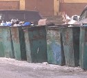 Сахалинские предприятия могут получить штраф за отсутствие договора на вывоз мусора 