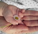 На Сахалине маму и папу с зависимостью пытаются лишить родительских прав на ребёнка-инвалида