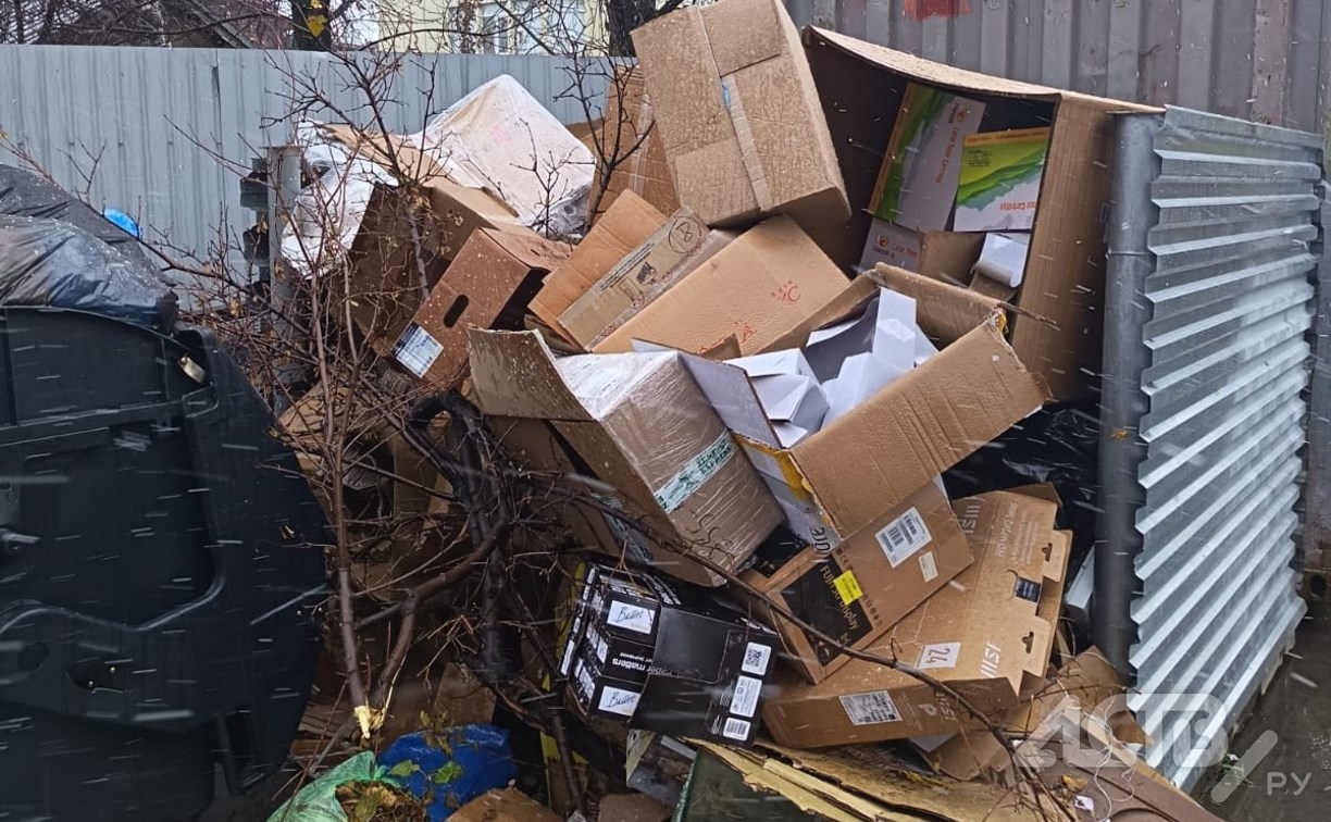 Южносахалинцы жалуются на заваленную мусорку рядом с тремя приличными организациями 