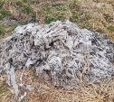 Тряпки, подгузники, наполнители: сахалинцам показали, от чего забивается система канализации