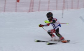 Спорт