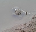 Сахалинцы нашли тело утонувшего в Долинском районе рыбака