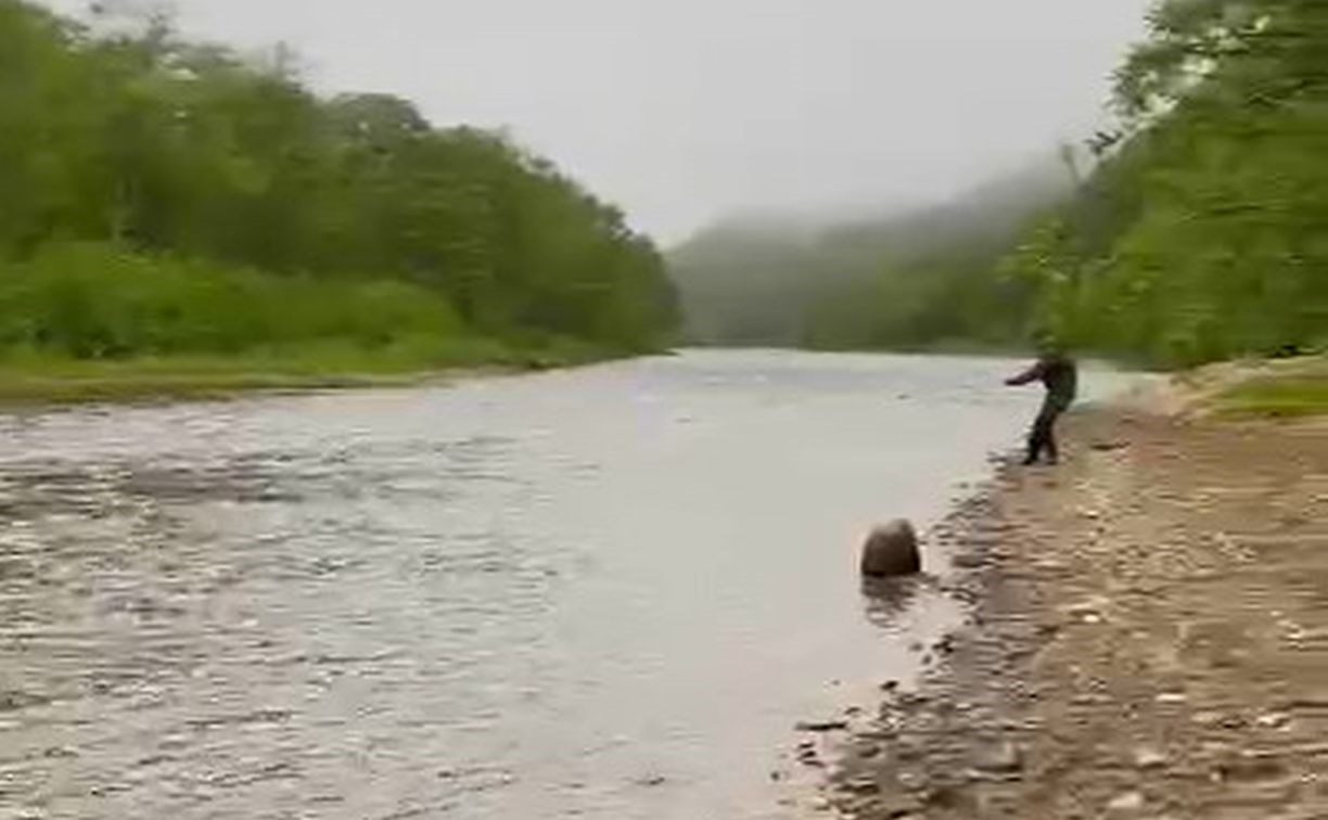 "Совсем оборзели": сахалинец снял на видео мужчин, перекрывающих сетью нерестовую реку