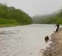 "Совсем оборзели": сахалинец снял на видео мужчин, перекрывающих сетью нерестовую реку