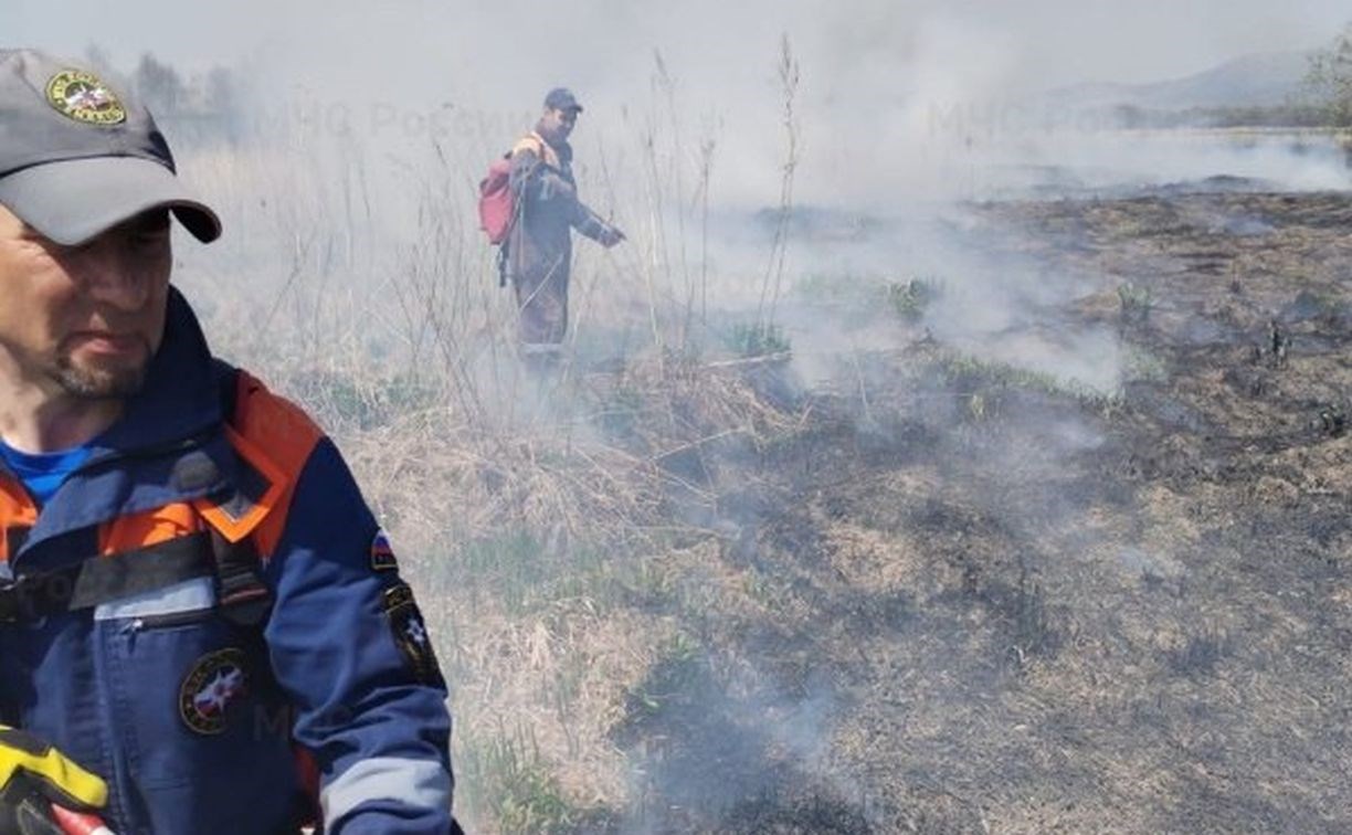 Поле выгорело на площади 35 га в окрестностях Южно-Сахалинска