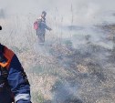 Поле выгорело на площади 35 га в окрестностях Южно-Сахалинска