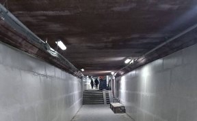 Общество