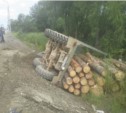 Грузовик, перевозивший бревна, перевернулся в Южно-Сахалинске (ФОТО)