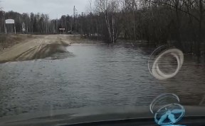 Происшествия