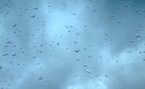 Общество