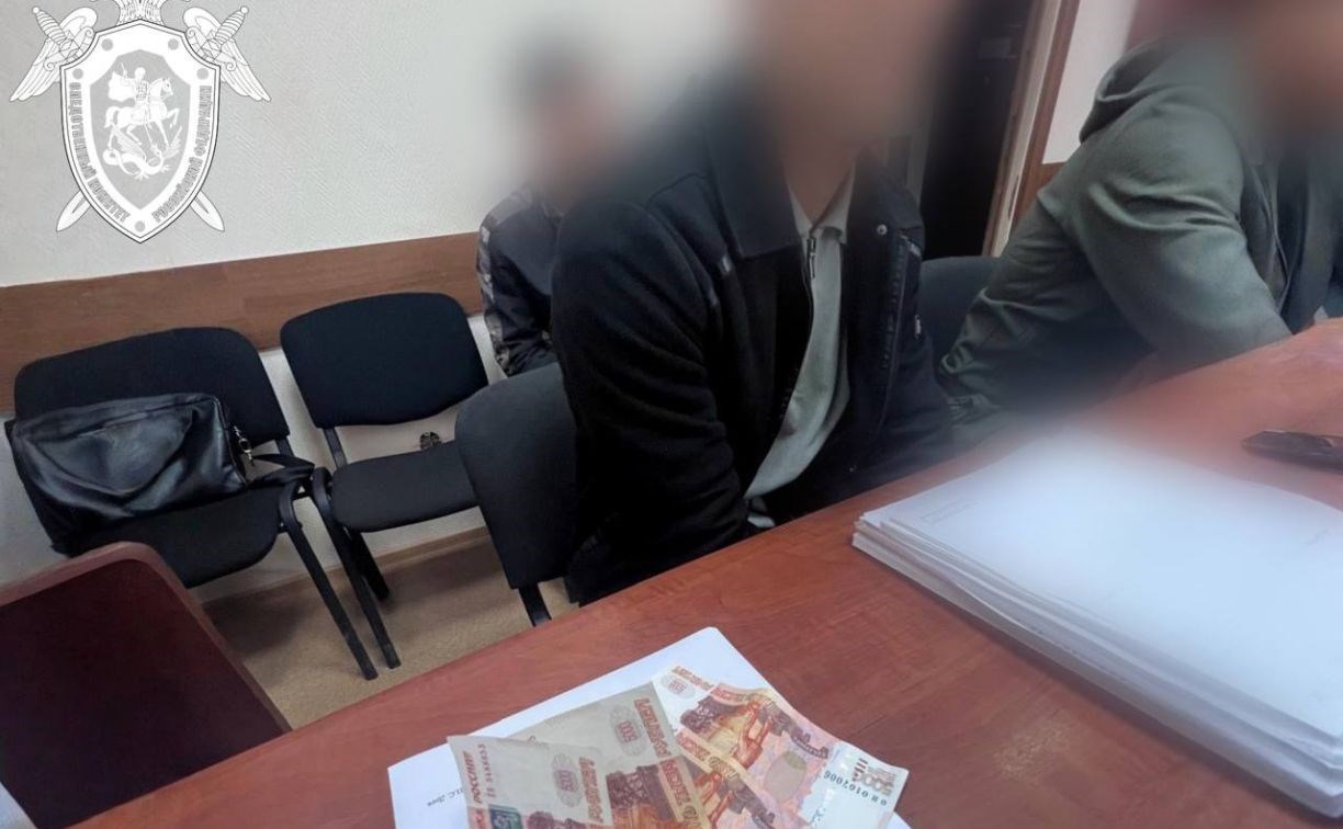 Мигрант-нарушитель на Сахалине пытался откупиться от полицейского взяткой в 20 тысяч рублей Мигрант-нарушитель на Сахалине пытался откупиться от полицейского взяткой в 20 тысяч рублей