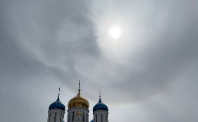 Общество
