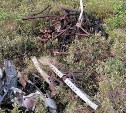 Жители села в Смирныховском районе обнаружили упавший советский самолет 