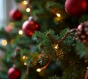 Южносахалинцам напоминают, как безопасно украсить елку и использовать гирлянды