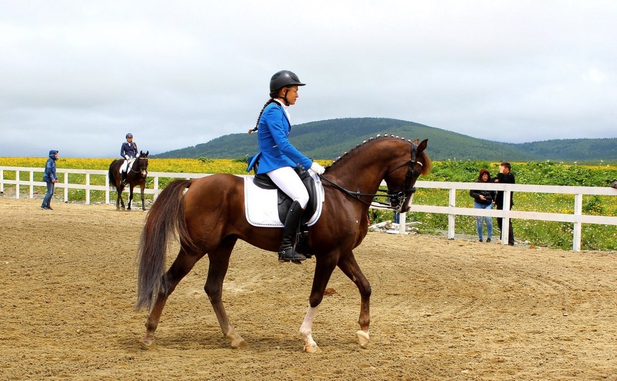 Юные сахалинцы показали навыки в конном спорте