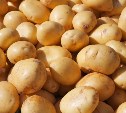 Экспорт картофеля из Китая в Россию вырос в 25 раз