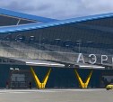 В новом аэропорту Южно-Сахалинска будут капсульный отель и рыбный рынок с поварами