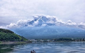 Общество