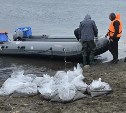 В залив Анива выпустили 400 тысяч мальков трепанга
