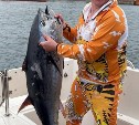 Сахалинские рыболовы сообщают о появлении тунца в Невельском районе