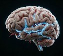 Жители Сахалинской области смогут бесплатно проверить память и пройти тест на деменцию