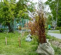Зелёный город: Южно-Сахалинск украсят 15 тысяч новых деревьев и кустарников
