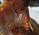 “Спрятали ухищрённым способом”: запрещённые предметы в ведре с краской нашли в колонии на Сахалине