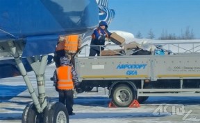 Происшествия