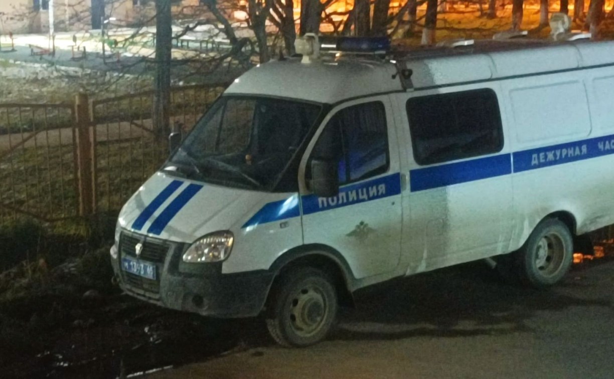 Автомобиль полиции в Южно-Сахалинске застукали припаркованным на газоне